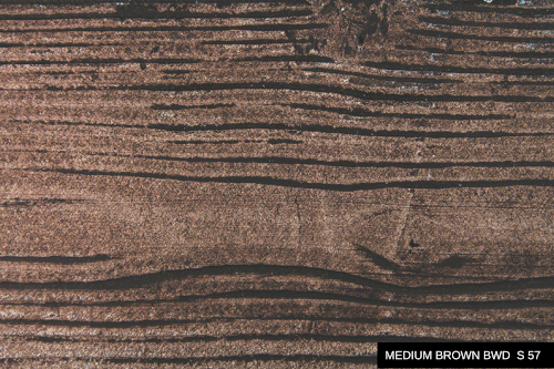 ../images/plaster/palette-ws/MEDIUM BROWN BWD S 57.png